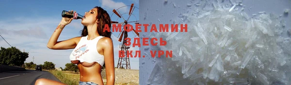 стаф Сосновый Бор