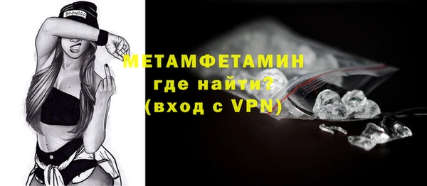 молекула духа Богданович