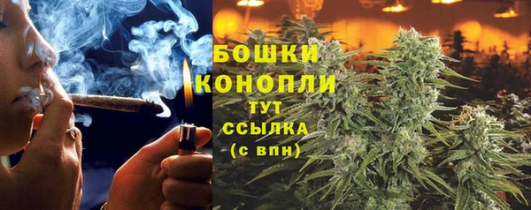 ешки Сосновоборск