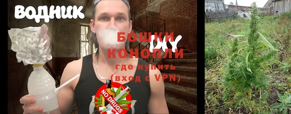 стаф Сосновый Бор