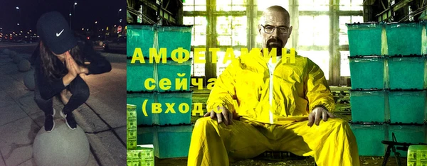 молекула духа Богданович