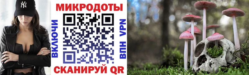 Галлюциногенные грибы Psilocybine cubensis  Топки 
